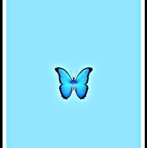 Meet your Posher, Lauriana